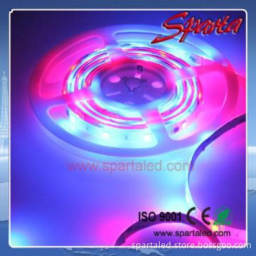 IC ws2811 led strip 5050